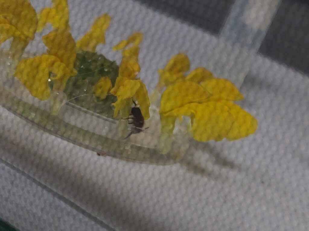 20260508_105320